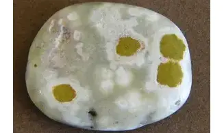 Ocean Jasper Palm Stone