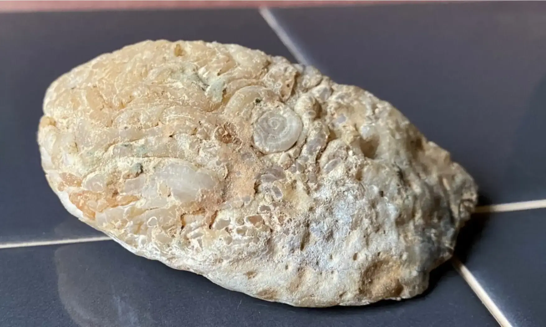 Agate Géode PG2 Cristaux