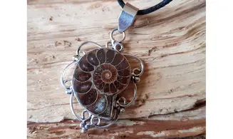 Ammonite & 925 Silver plated pendant