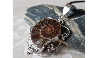 Ammonite & 925 Silver plated pendant