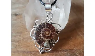 Ammonite & 925 Silver plated pendant