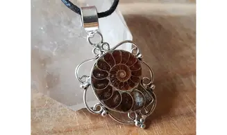 Ammonite & 925 Silver plated pendant