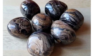 Stromatolite pierre roulée