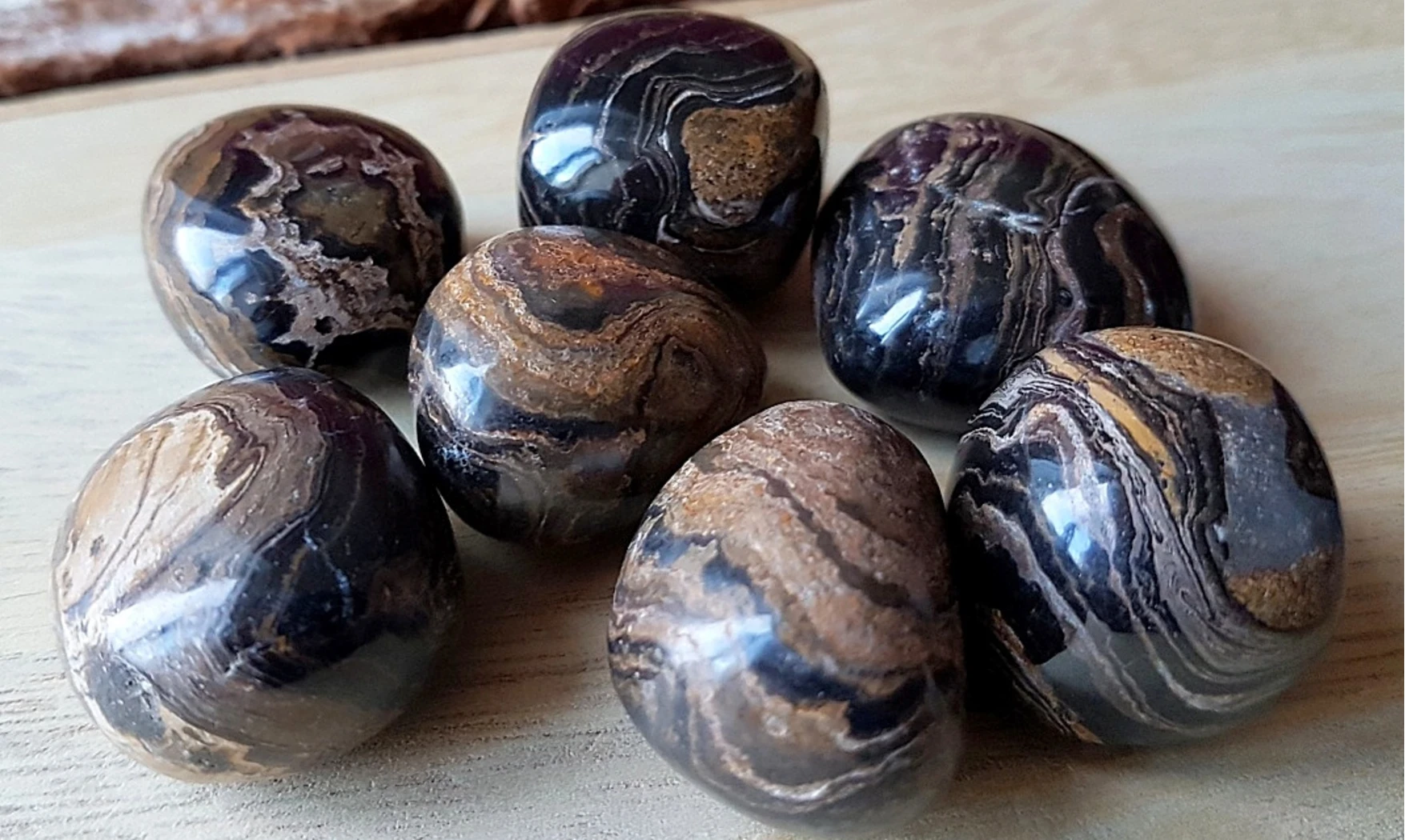Stromatolite pierre roulée