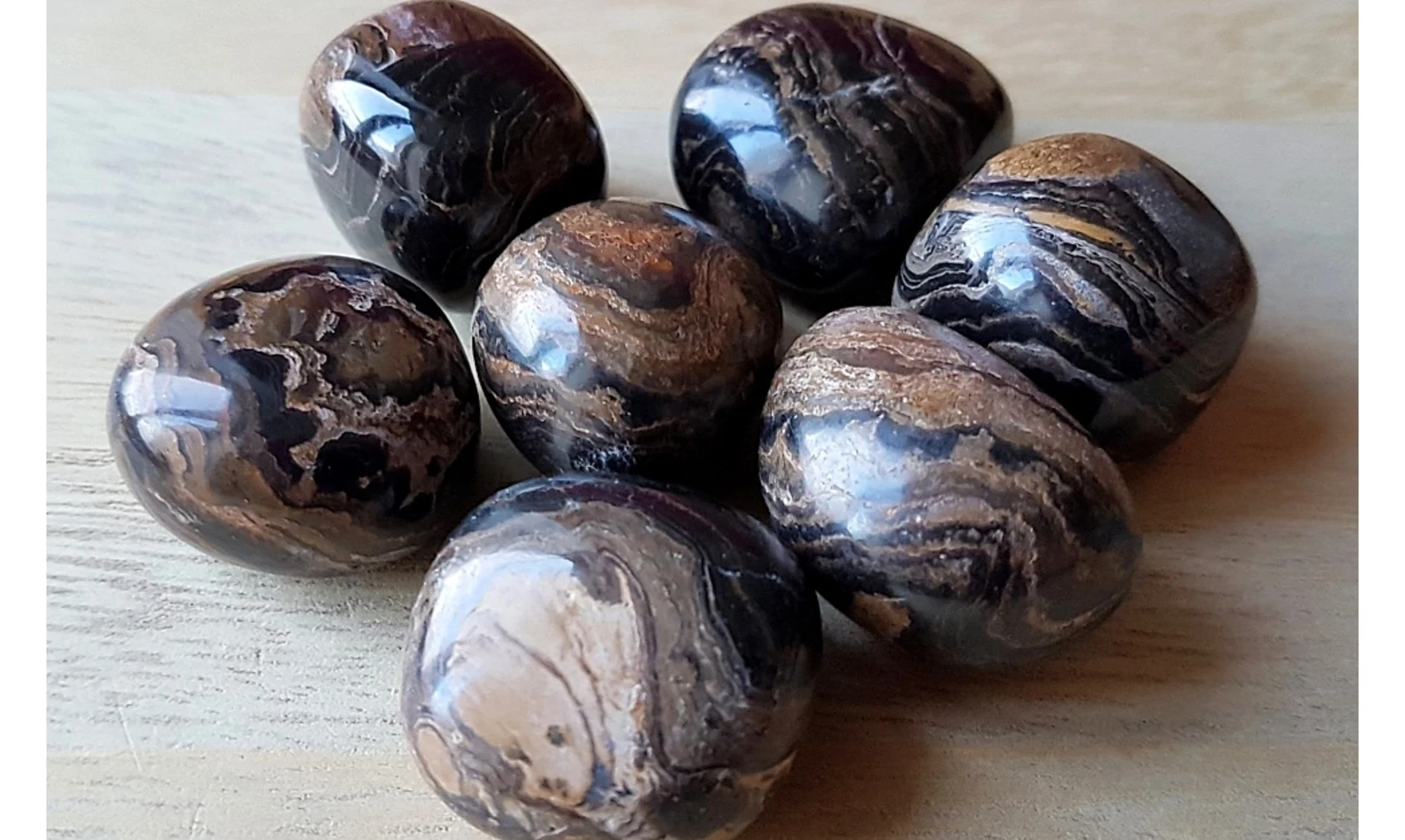 Stromatolite pierre roulée