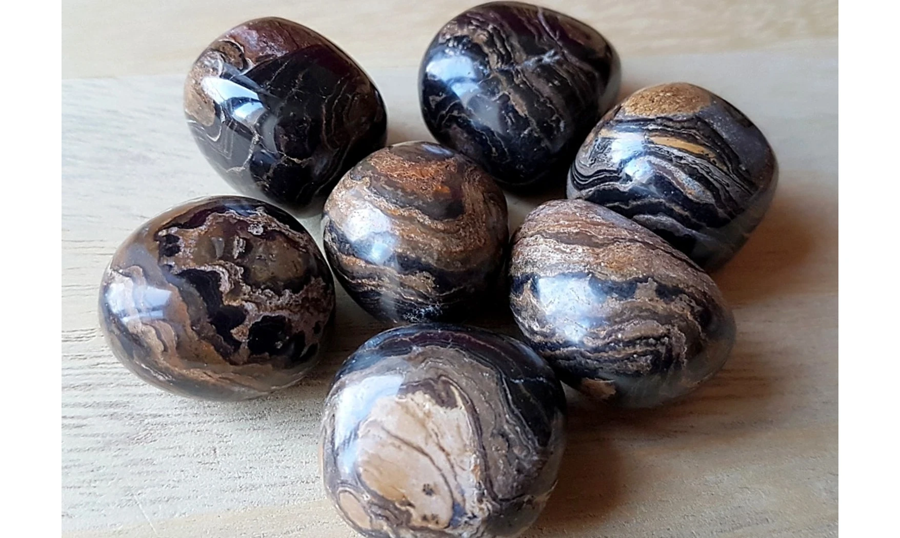 Stromatolite pierre roulée