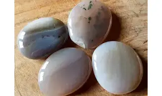 Agate Palm Stone