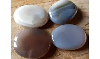 Agate Palm Stone
