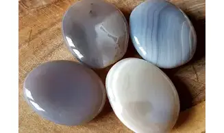 Agate Palm Stone